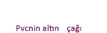 Anasayfa